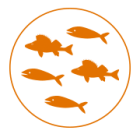 Fish_icon_orange