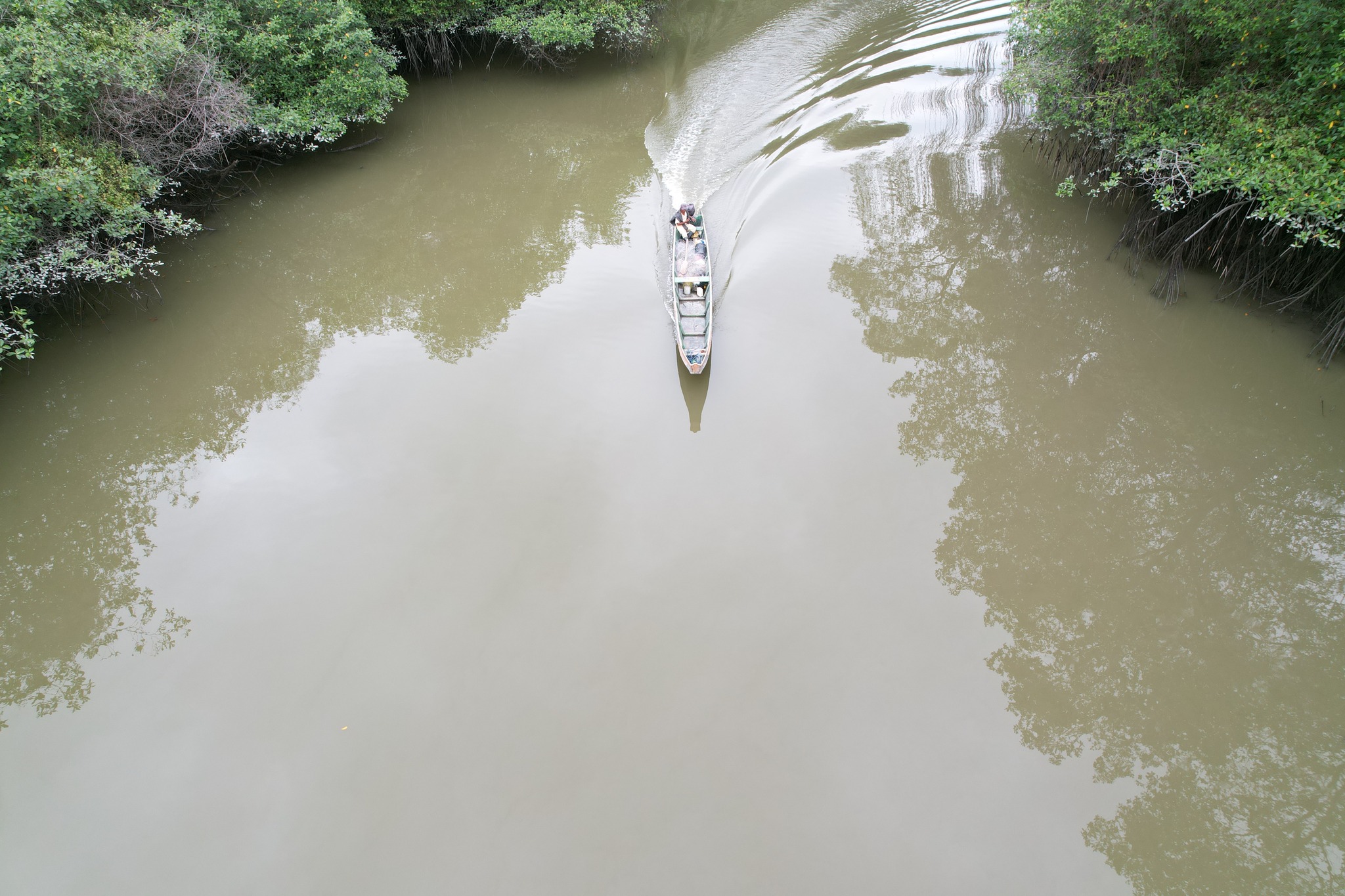 Using Drones to Protect Mangrove Forests in Ecuador – WildAid Marine